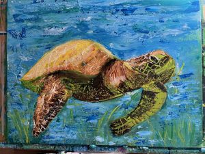 Price: 250…includes shipping within USA